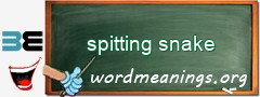 WordMeaning blackboard for spitting snake